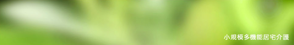 ���K�͑��@�\������